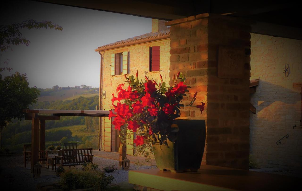 Bed and Breakfast Quelli Del Picchio à Cupramontana Extérieur photo