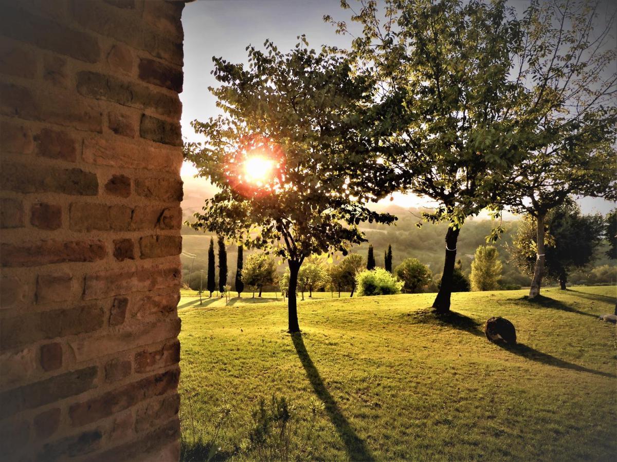 Bed and Breakfast Quelli Del Picchio à Cupramontana Extérieur photo