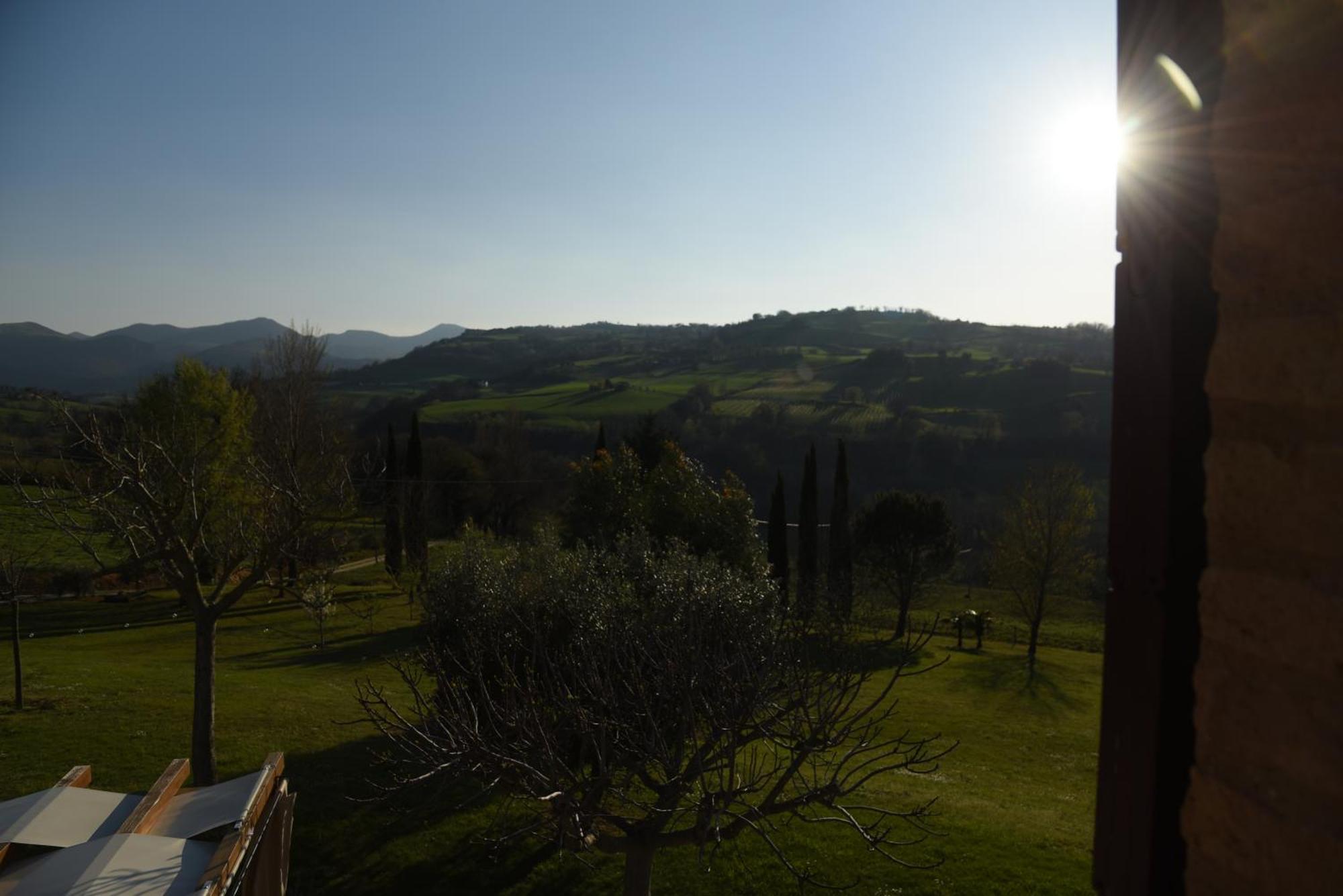 Bed and Breakfast Quelli Del Picchio à Cupramontana Extérieur photo